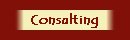 Consulting Services