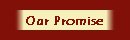 Our Promise to our Clients