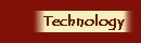 Business Technology Consulting